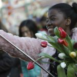 Nationale Tulpendag – Fotografie: TPN