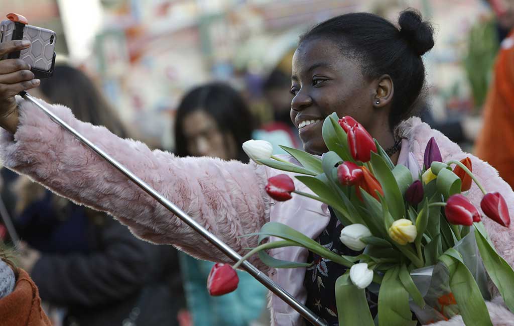 Nationale Tulpendag - Fotografie: TPN