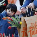 Nationale Tulpendag – Fotografie: TPN