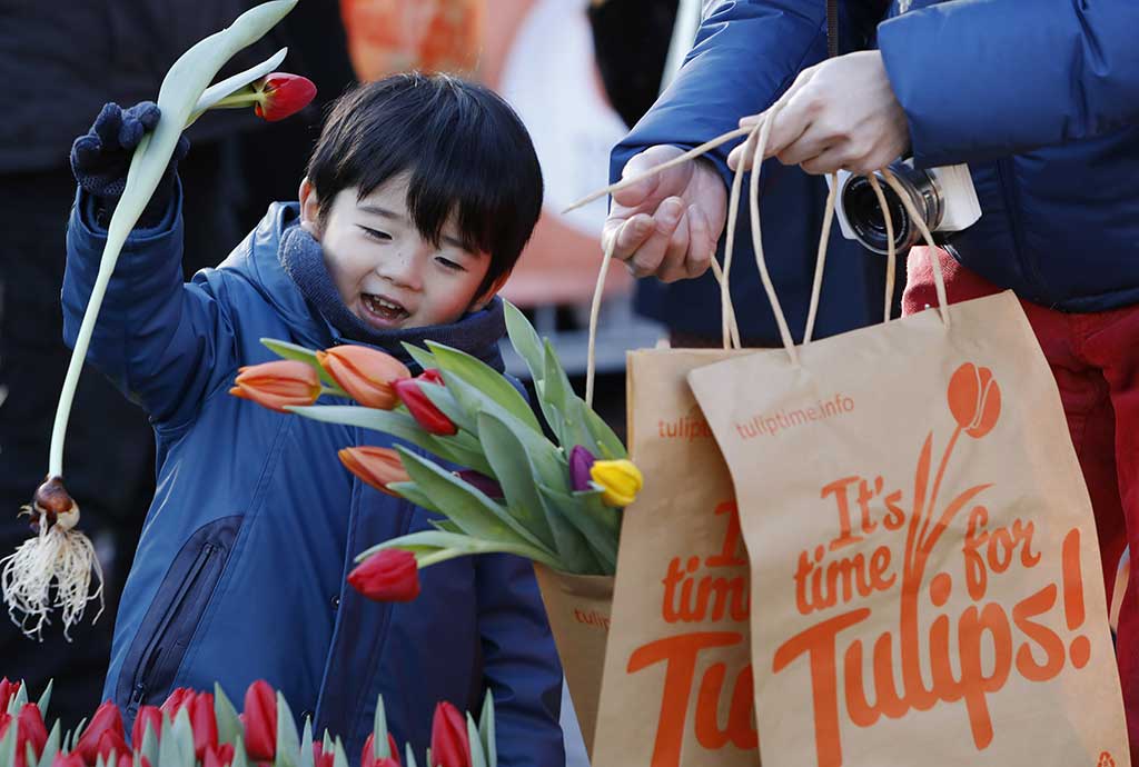 Nationale Tulpendag - Fotografie: TPN