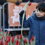 Nationale Tulpendag - Fotografie: TPN