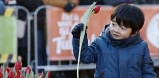 Nationale Tulpendag - Fotografie: TPN