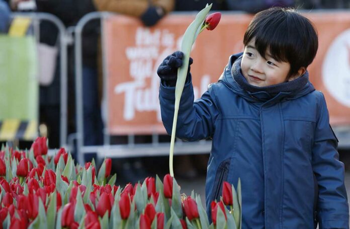 Nationale Tulpendag - Fotografie: TPN