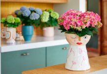 Kleurrijk feestje met hortensia - Fotografie: Hydrangeaworld.com
