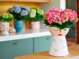 Kleurrijk feestje met hortensia - Fotografie: Hydrangeaworld.com