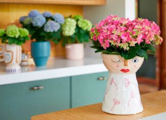 Kleurrijk feestje met hortensia - Fotografie: Hydrangeaworld.com