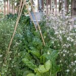 Tuintrend 2023 – Vrij spel voor de natuur. Fotografie Tuinbranche Nederland
