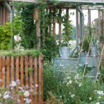 Tuintrend 2023 – Vrij spel voor de natuur. Fotografie Tuinbranche Nederland