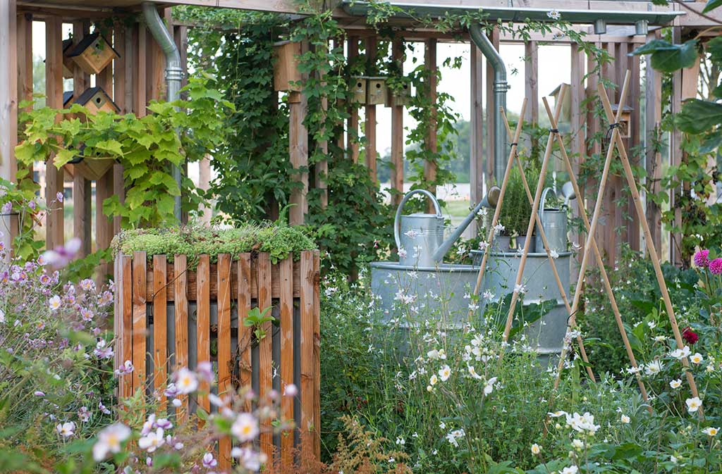 Tuintrend 2023 - Vrij spel voor de natuur. Fotografie Tuinbranche Nederland