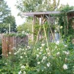Tuintrend 2023 – Vrij spel voor de natuur. Fotografie Tuinbranche Nederland