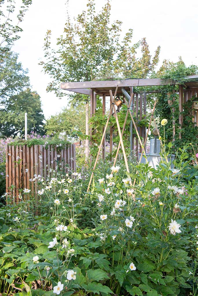 Tuintrend 2023 - Vrij spel voor de natuur. Fotografie Tuinbranche Nederland